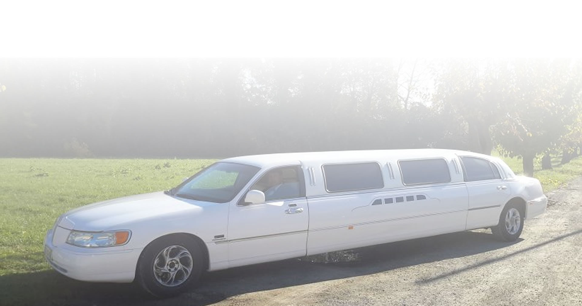 Noleggio Limousine